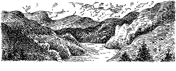 Иллюстрация к книге — Повелитель драконов. Перо грифона  [i_019.jpg]