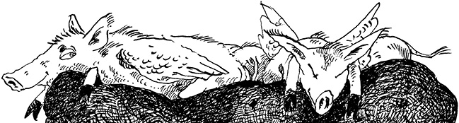 Иллюстрация к книге — Повелитель драконов. Перо грифона  [i_024.jpg]