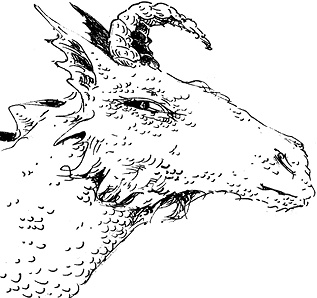 Иллюстрация к книге — Повелитель драконов. Перо грифона  [i_030.jpg]