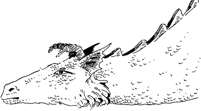 Иллюстрация к книге — Повелитель драконов. Перо грифона  [i_035.jpg]