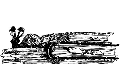 Иллюстрация к книге — Повелитель драконов. Перо грифона  [i_049.jpg]