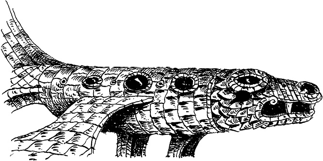 Иллюстрация к книге — Повелитель драконов. Перо грифона  [i_052.jpg]