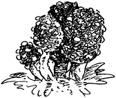 Иллюстрация к книге — Повелитель драконов. Перо грифона  [i_054.jpg]