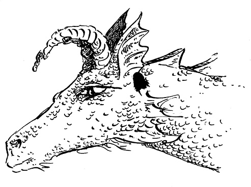 Иллюстрация к книге — Повелитель драконов. Перо грифона  [i_056.jpg]