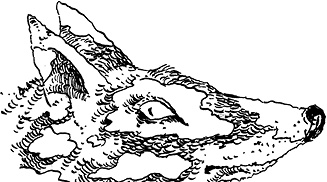 Иллюстрация к книге — Повелитель драконов. Перо грифона  [i_060.jpg]