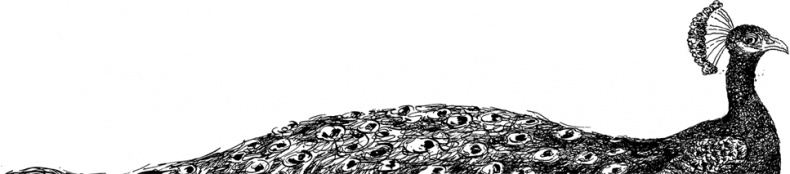 Иллюстрация к книге — Повелитель драконов. Перо грифона  [i_067.jpg]