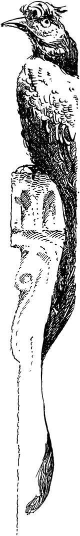 Иллюстрация к книге — Повелитель драконов. Перо грифона  [i_069.jpg]