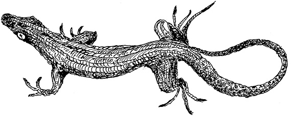 Иллюстрация к книге — Повелитель драконов. Перо грифона  [i_073.jpg]