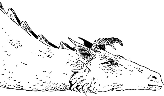 Иллюстрация к книге — Повелитель драконов. Перо грифона  [i_078.jpg]