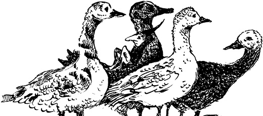 Иллюстрация к книге — Повелитель драконов. Перо грифона  [i_082.jpg]