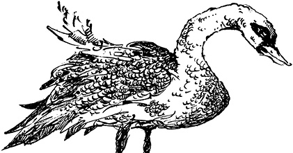 Иллюстрация к книге — Повелитель драконов. Перо грифона  [i_083.jpg]