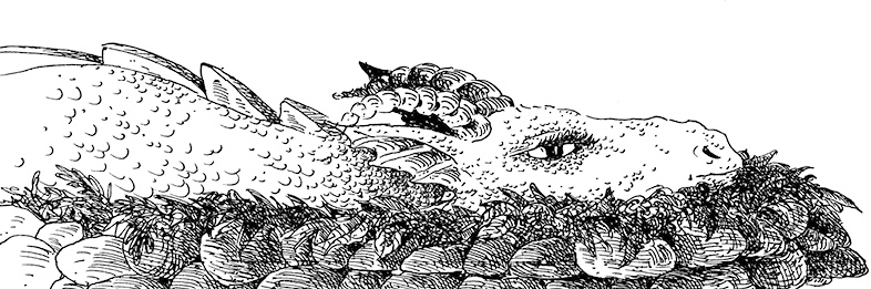 Иллюстрация к книге — Повелитель драконов. Перо грифона  [i_102.jpg]