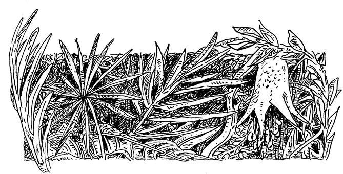 Иллюстрация к книге — Повелитель драконов. Перо грифона  [i_103.jpg]