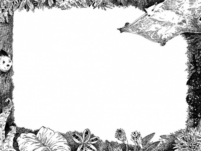 Иллюстрация к книге — Повелитель драконов. Перо грифона  [i_106.jpg]