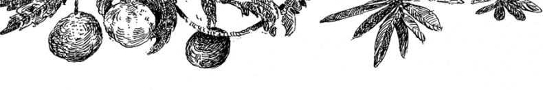 Иллюстрация к книге — Повелитель драконов. Перо грифона  [i_107.jpg]