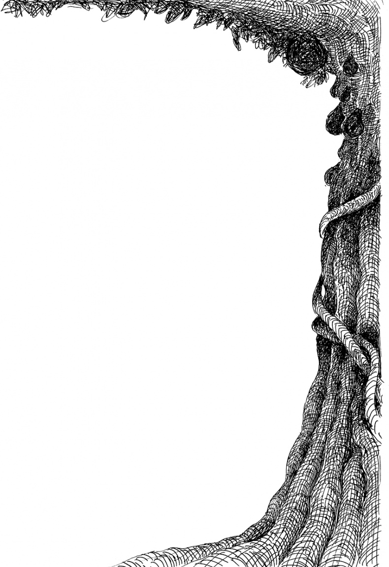 Иллюстрация к книге — Повелитель драконов. Перо грифона  [i_111.jpg]