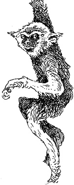 Иллюстрация к книге — Повелитель драконов. Перо грифона  [i_113.jpg]