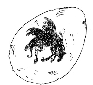 Иллюстрация к книге — Повелитель драконов. Перо грифона  [i_117.jpg]