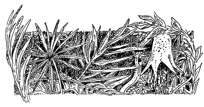 Иллюстрация к книге — Повелитель драконов. Перо грифона  [i_118.jpg]