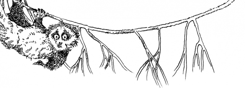 Иллюстрация к книге — Повелитель драконов. Перо грифона  [i_120.jpg]