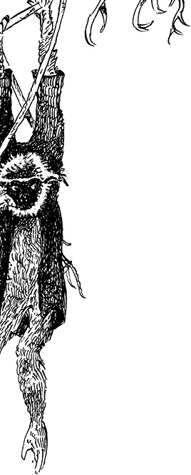 Иллюстрация к книге — Повелитель драконов. Перо грифона  [i_123.jpg]