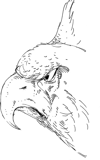 Иллюстрация к книге — Повелитель драконов. Перо грифона  [i_124.jpg]