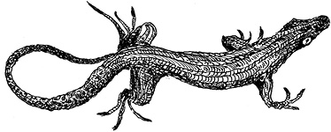 Иллюстрация к книге — Повелитель драконов. Перо грифона  [i_131.jpg]