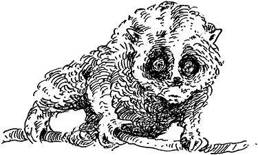 Иллюстрация к книге — Повелитель драконов. Перо грифона  [i_138.jpg]