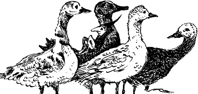 Иллюстрация к книге — Повелитель драконов. Перо грифона  [i_140.jpg]