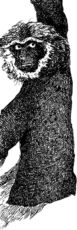 Иллюстрация к книге — Повелитель драконов. Перо грифона  [i_148.jpg]