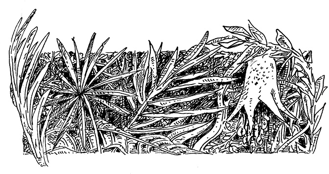 Иллюстрация к книге — Повелитель драконов. Перо грифона  [i_150.jpg]