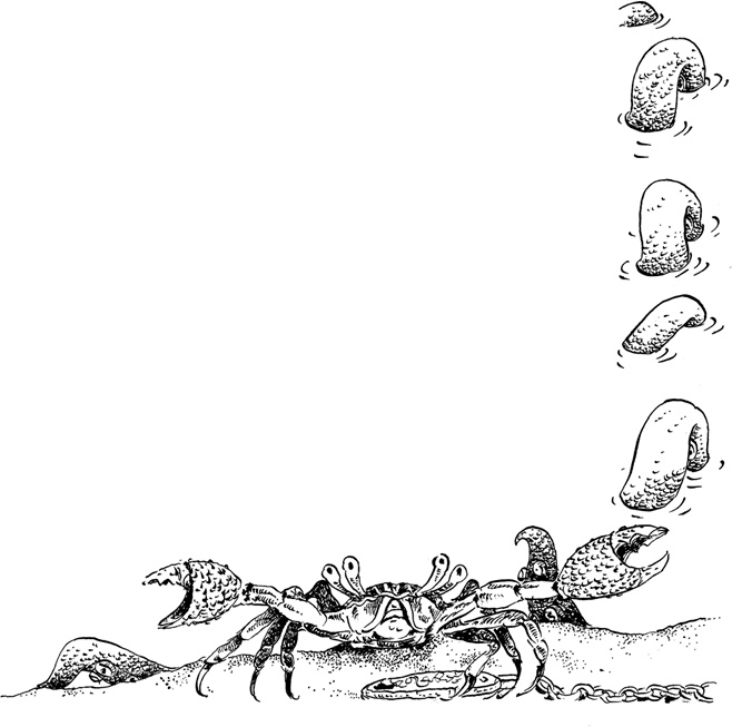 Иллюстрация к книге — Повелитель драконов. Перо грифона  [i_164.jpg]