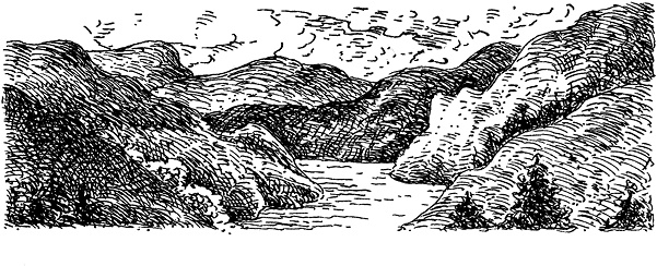 Иллюстрация к книге — Повелитель драконов. Перо грифона  [i_180.jpg]