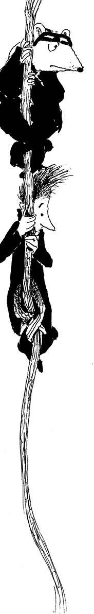 Иллюстрация к книге — Повелитель драконов. Перо грифона  [i_185.jpg]