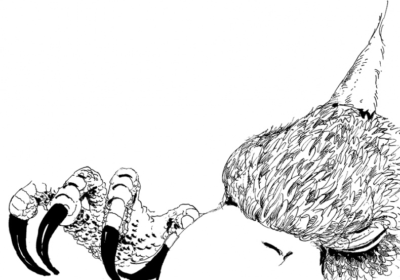 Иллюстрация к книге — Повелитель драконов. Перо грифона  [i_186.jpg]