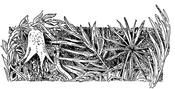 Иллюстрация к книге — Повелитель драконов. Перо грифона  [i_187.jpg]