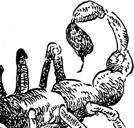 Иллюстрация к книге — Повелитель драконов. Перо грифона  [i_191.jpg]