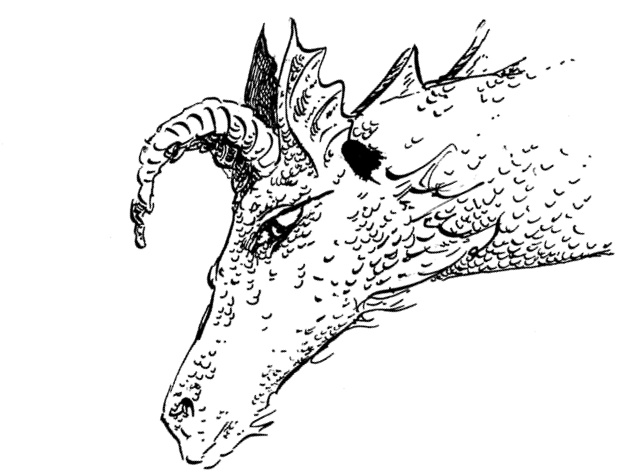 Иллюстрация к книге — Повелитель драконов. Перо грифона  [i_193.jpg]