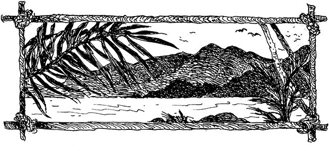 Иллюстрация к книге — Повелитель драконов. Перо грифона  [i_203.jpg]