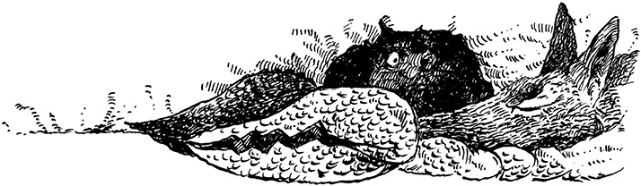 Иллюстрация к книге — Повелитель драконов. Перо грифона  [i_204.jpg]