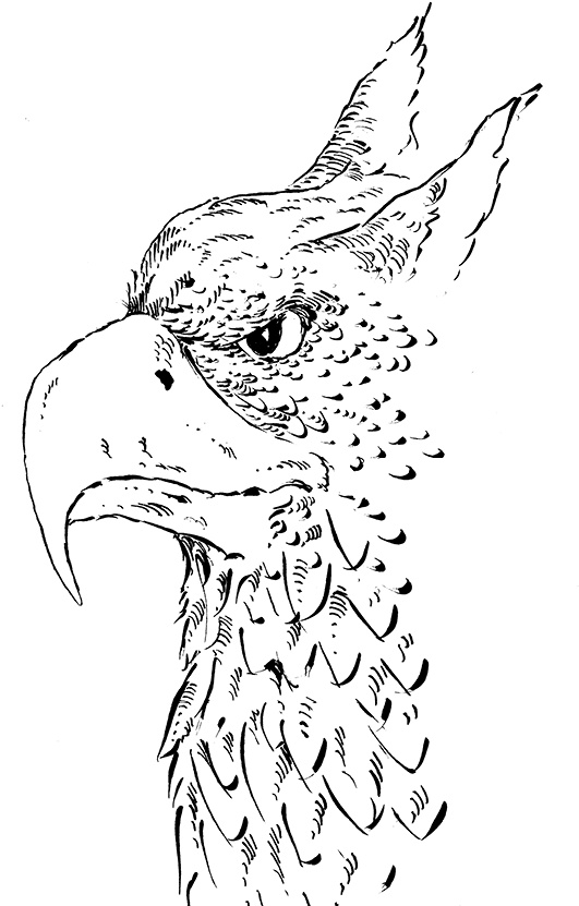 Иллюстрация к книге — Повелитель драконов. Перо грифона  [i_205.jpg]