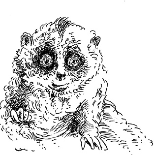 Иллюстрация к книге — Повелитель драконов. Перо грифона  [i_206.jpg]