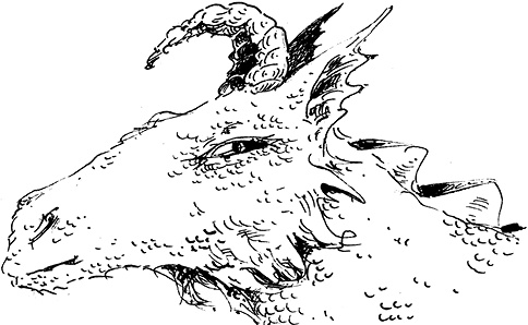 Иллюстрация к книге — Повелитель драконов. Перо грифона  [i_212.jpg]