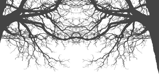 Иллюстрация к книге — Пожирающая Серость  [i_017.jpg]