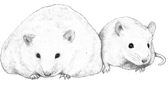 Иллюстрация к книге — Заблокированные нейроны  [i_006.jpg]