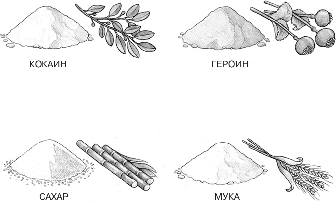 Иллюстрация к книге — Заблокированные нейроны  [i_011.jpg]