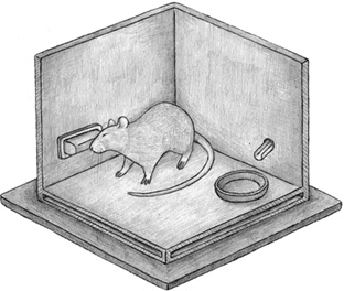 Иллюстрация к книге — Заблокированные нейроны  [i_020.jpg]