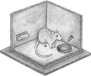 Иллюстрация к книге — Заблокированные нейроны  [i_021.jpg]