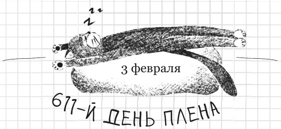 Иллюстрация к книге — Дневник дебильного кота 2. Банда Эдгара [i_021.jpg]