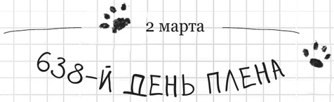 Иллюстрация к книге — Дневник дебильного кота 2. Банда Эдгара [i_028.jpg]